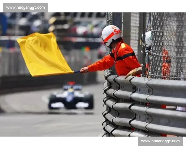 F1比赛规则详解：从旗语到进站